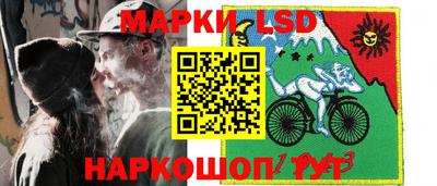 крисы Моздок