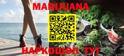 крисы Моздок