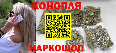 крисы Моздок