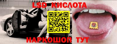 крисы Моздок