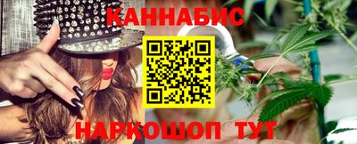 крисы Моздок