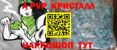 крисы Моздок