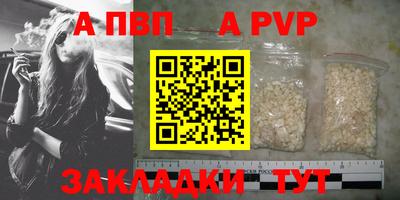 крисы Моздок