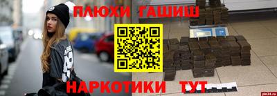 крисы Моздок